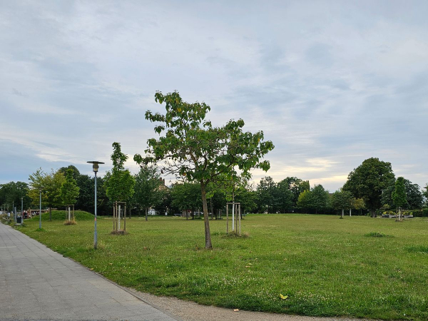 Bürgerpark Francoisgärten und Spielplatz